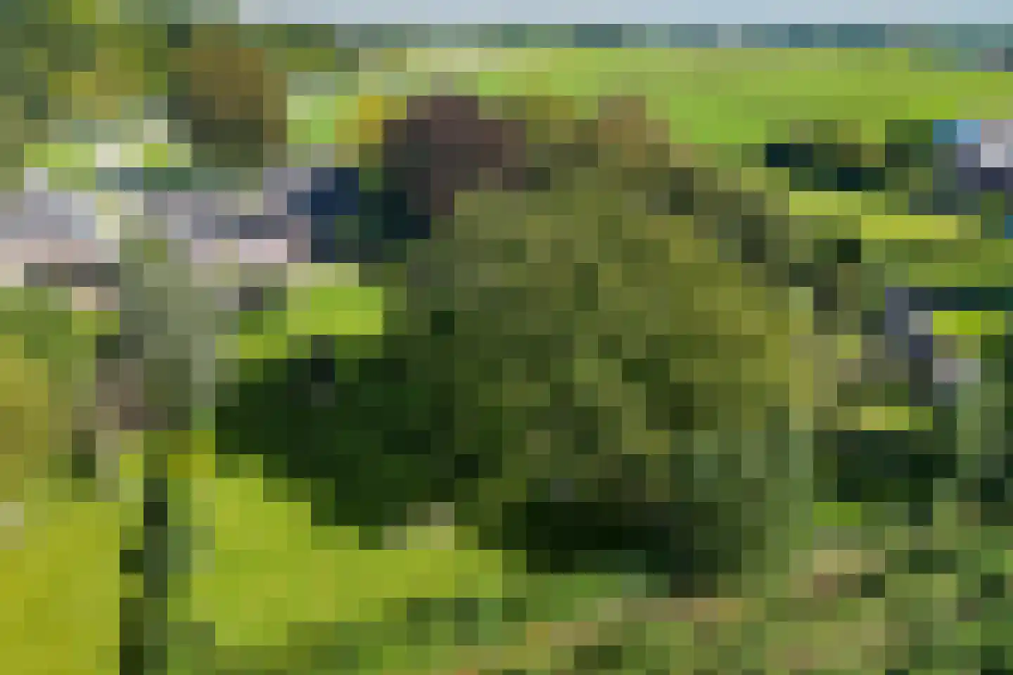 Groenestraat 4 Lathum thumbnail 47