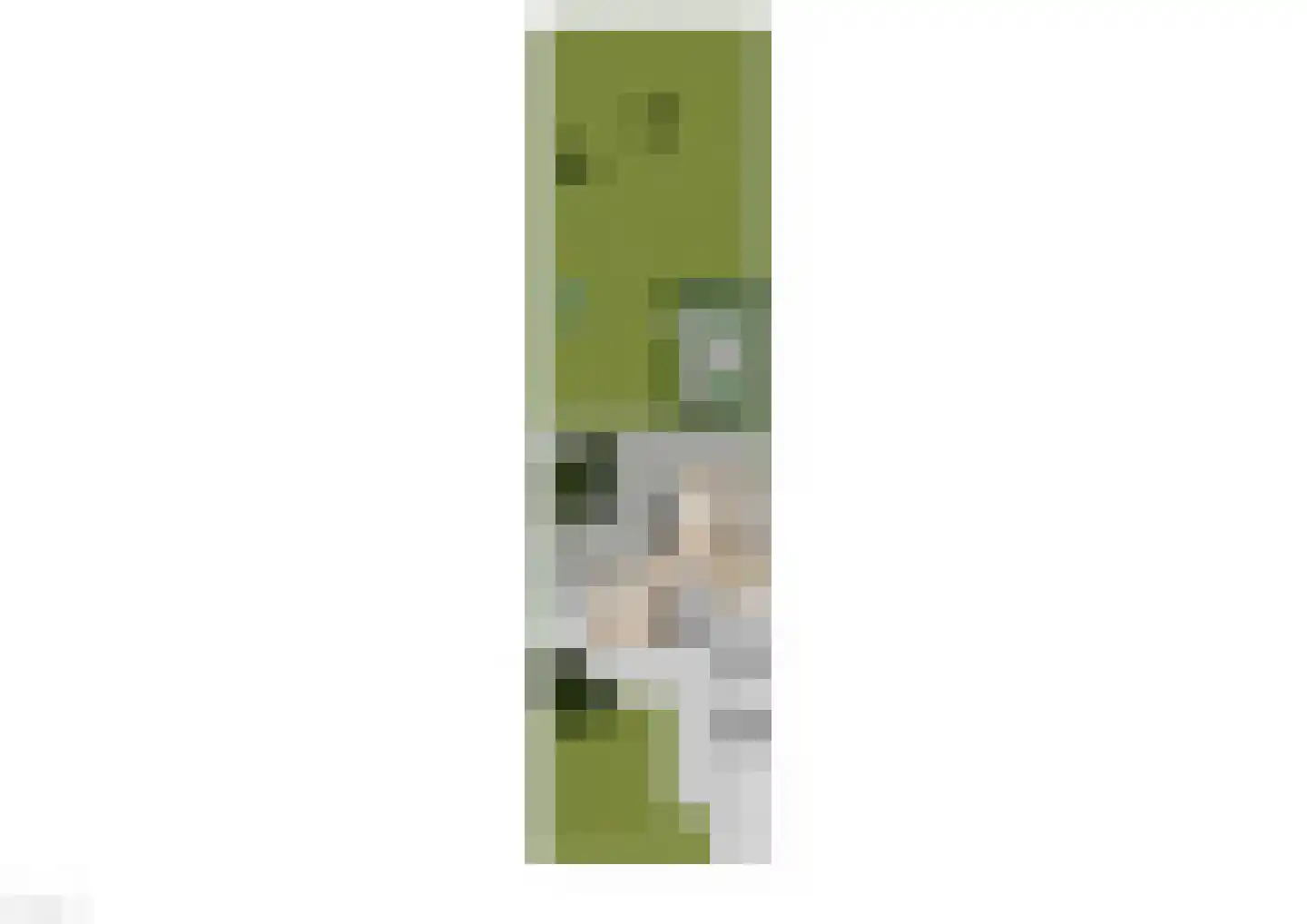 Groenestraat 4 Lathum thumbnail 52