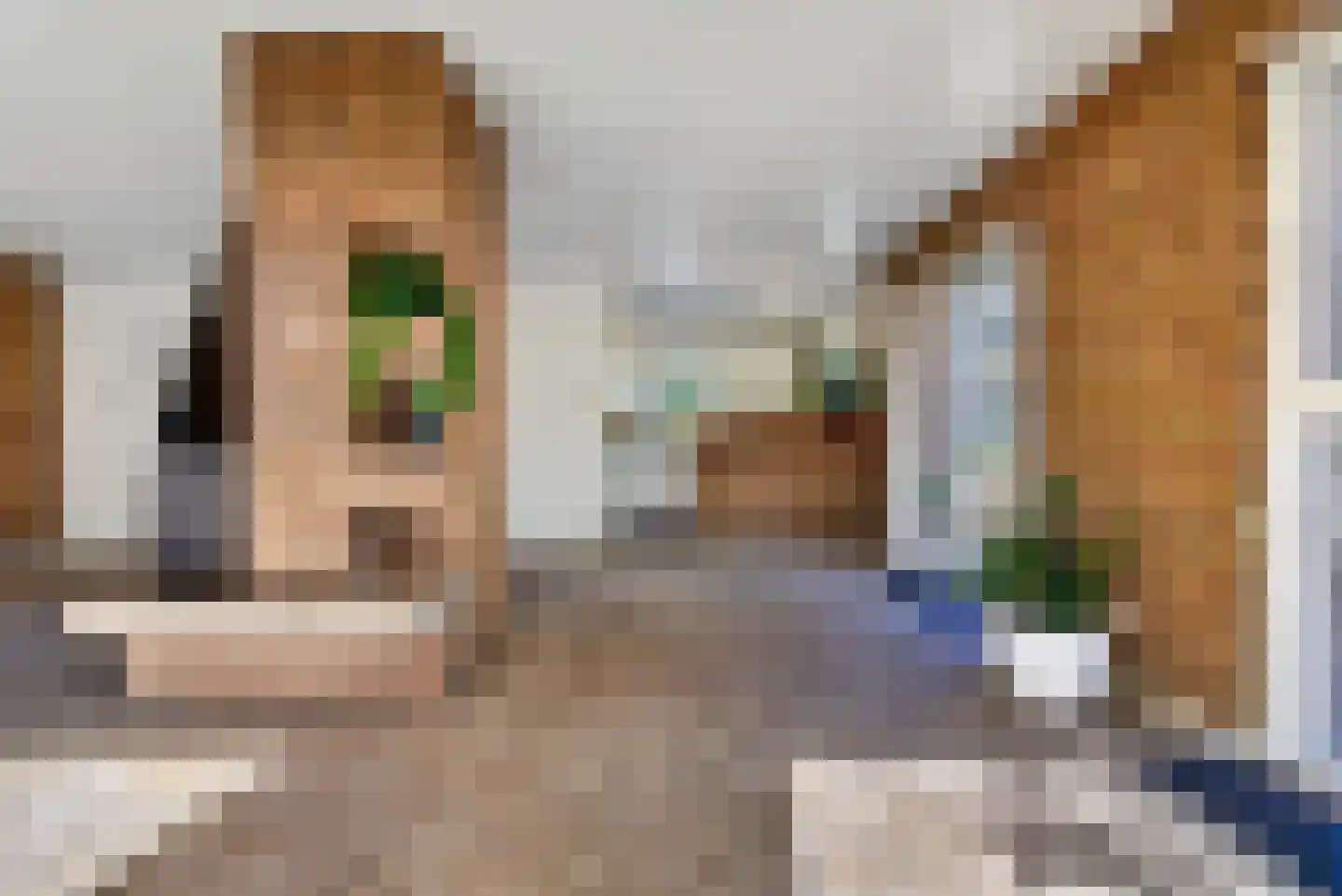 Groenestraat 4 Lathum thumbnail 7