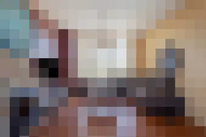 Groenestraat 4 Ophemert thumbnail 10