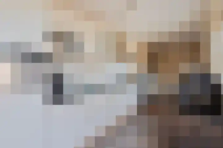 Groenestraat 4 Ophemert thumbnail 17