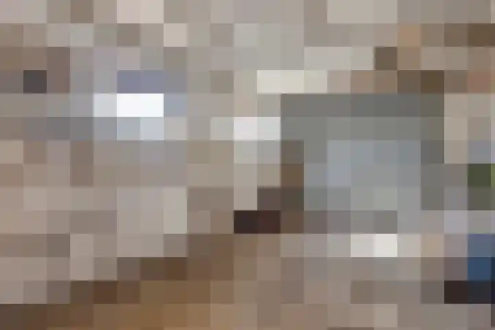 Groenestraat 4 Ophemert thumbnail 26