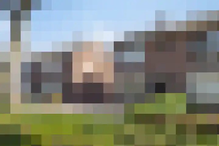 Groenestraat 4 Ophemert thumbnail 7