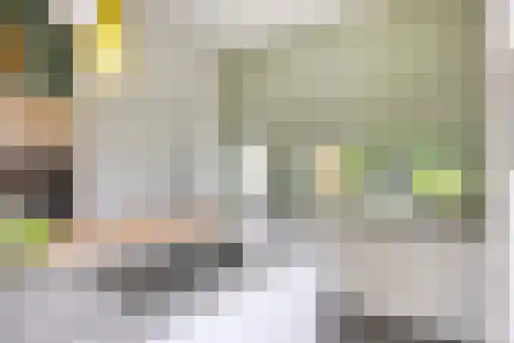 Groenestraat 40 Rheden thumbnail 10