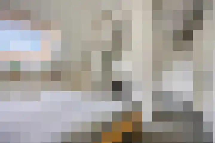 Groenestraat 40 Rheden thumbnail 34