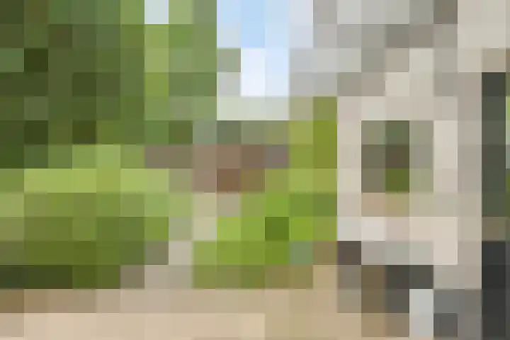 Groenestraat 40 Rheden thumbnail 55