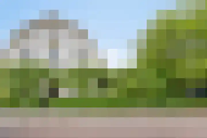 Groenestraat 40 Rheden thumbnail 66