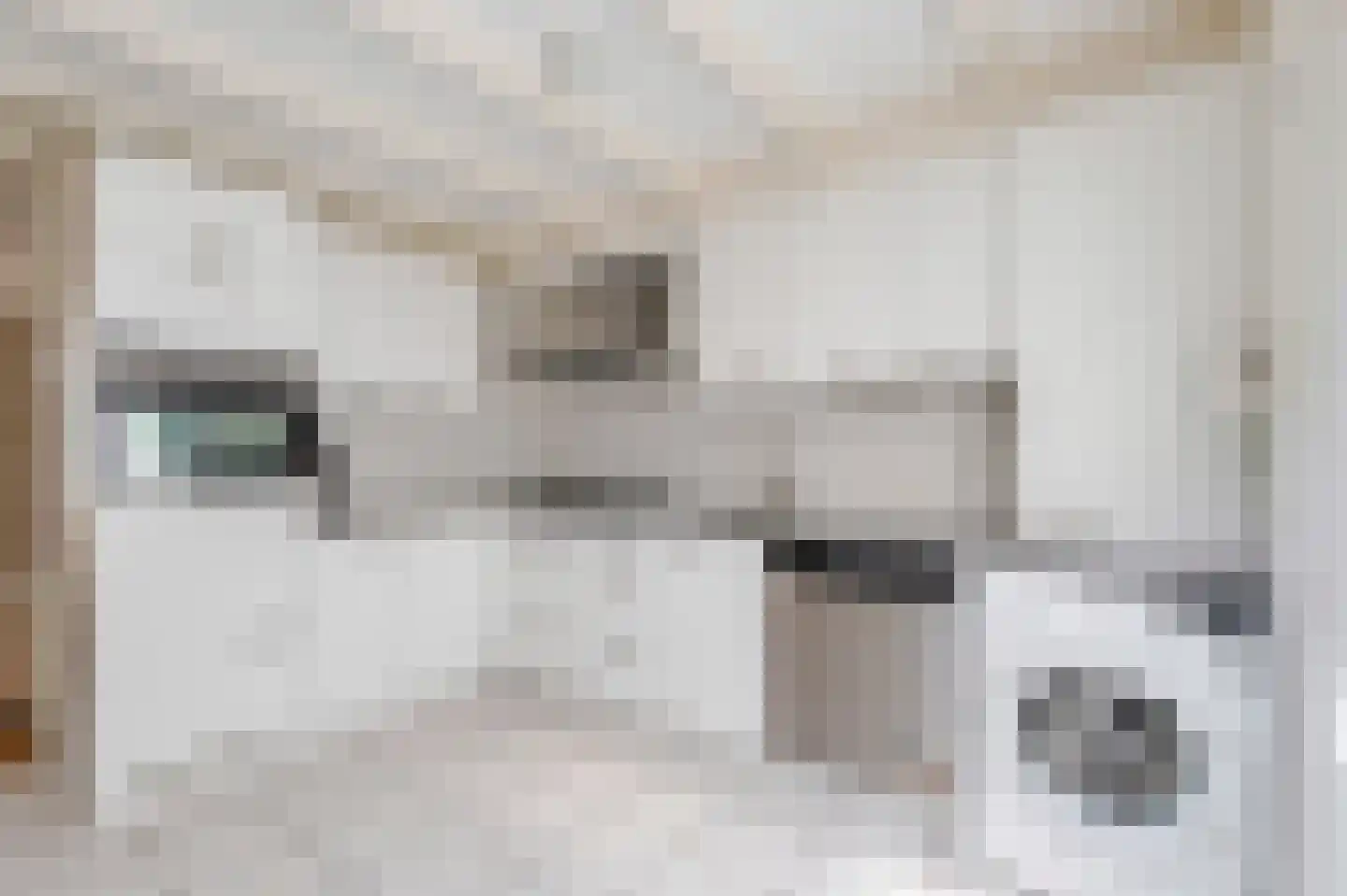 Groenestraat 42 Elst thumbnail 10