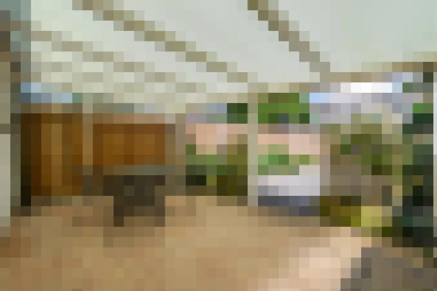 Groenestraat 42 Elst thumbnail 20