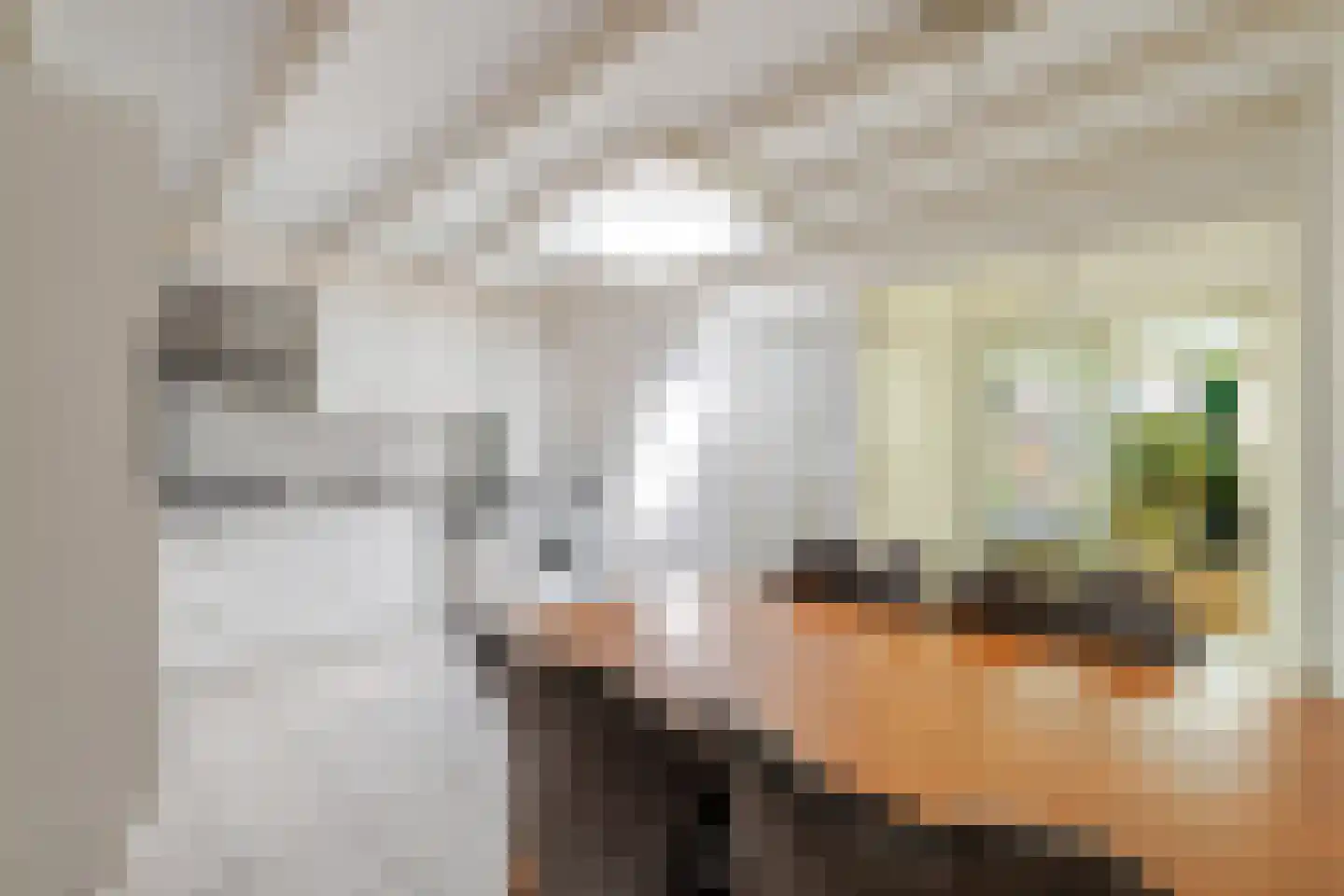 Groenestraat 42 Elst thumbnail 8