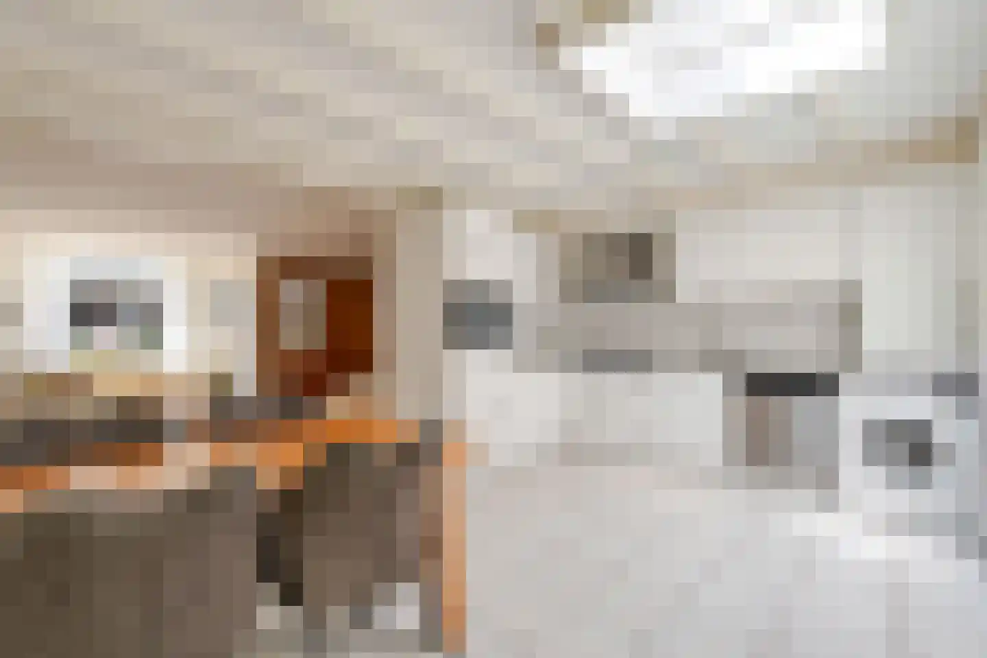 Groenestraat 42 Elst thumbnail 9