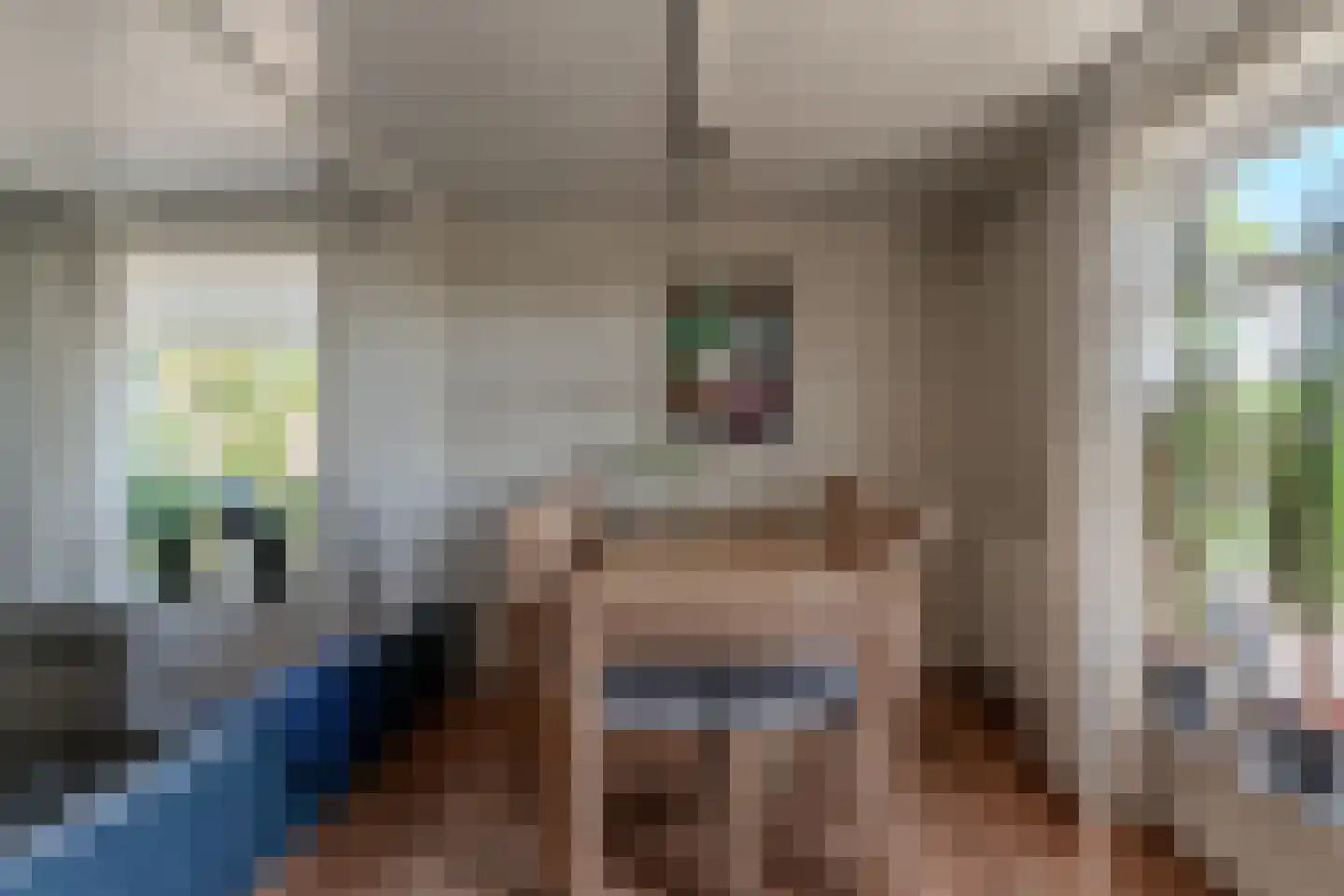 Groenestraat 42 Lathum thumbnail 17