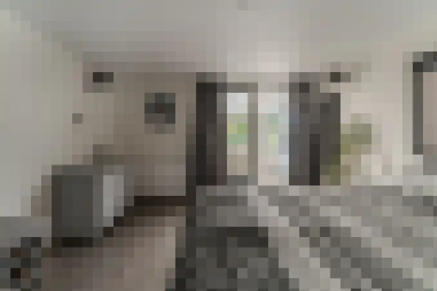 Groenestraat 42 Lathum thumbnail 24