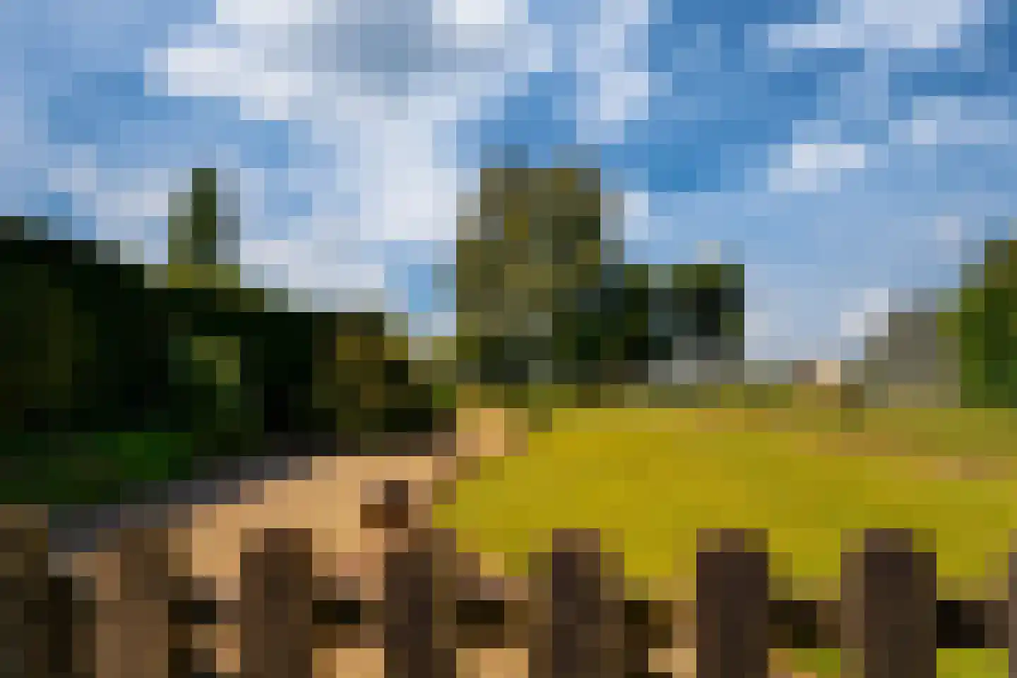 Groenestraat 42 Lathum thumbnail 37