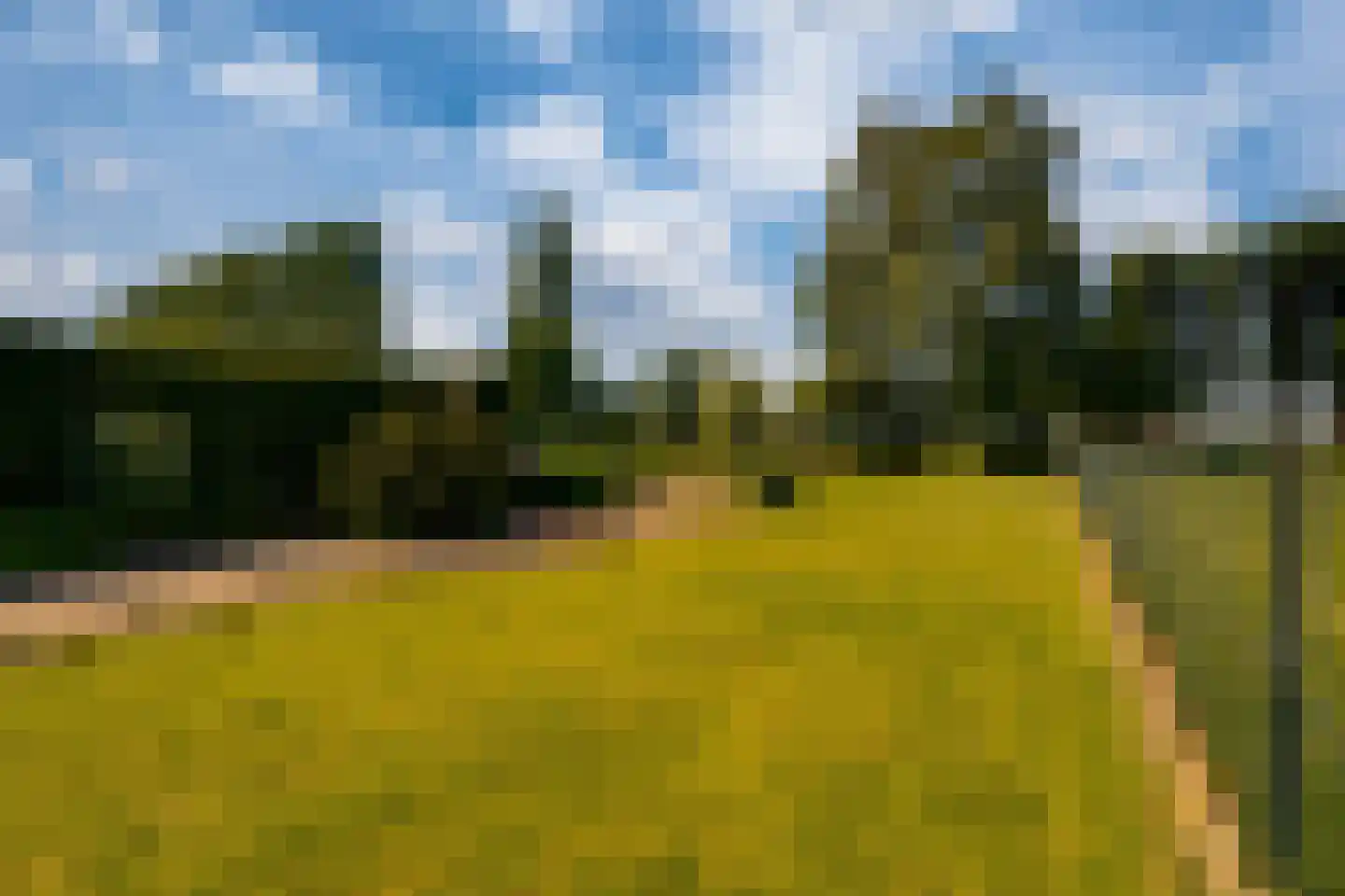 Groenestraat 42 Lathum thumbnail 38