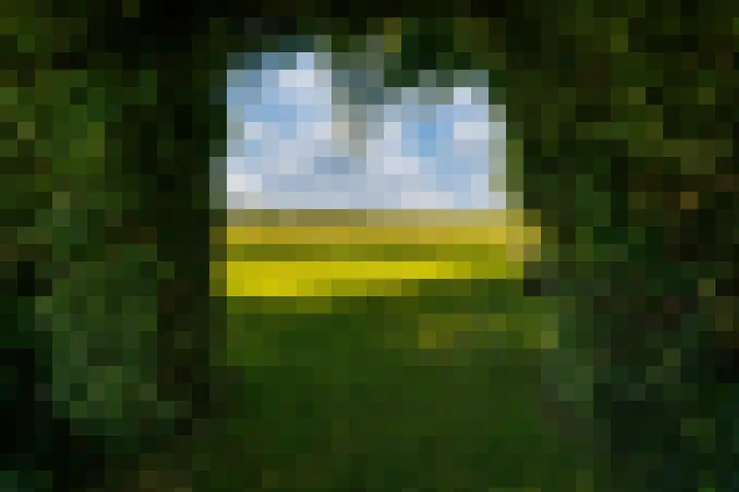 Groenestraat 42 Lathum thumbnail 39