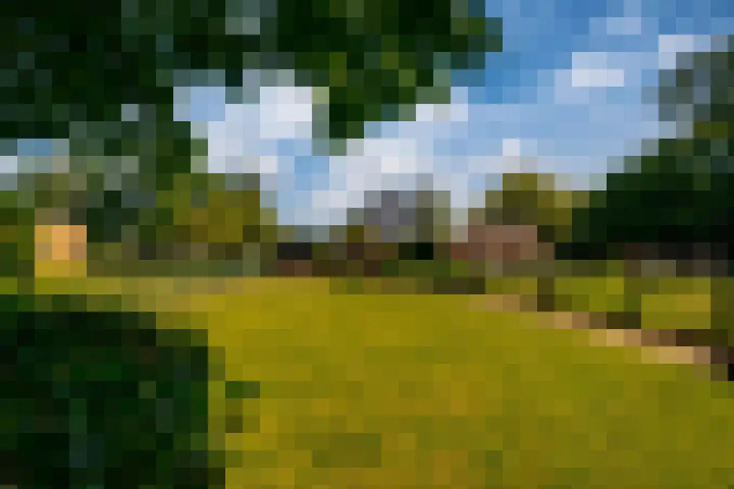 Groenestraat 42 Lathum thumbnail 4