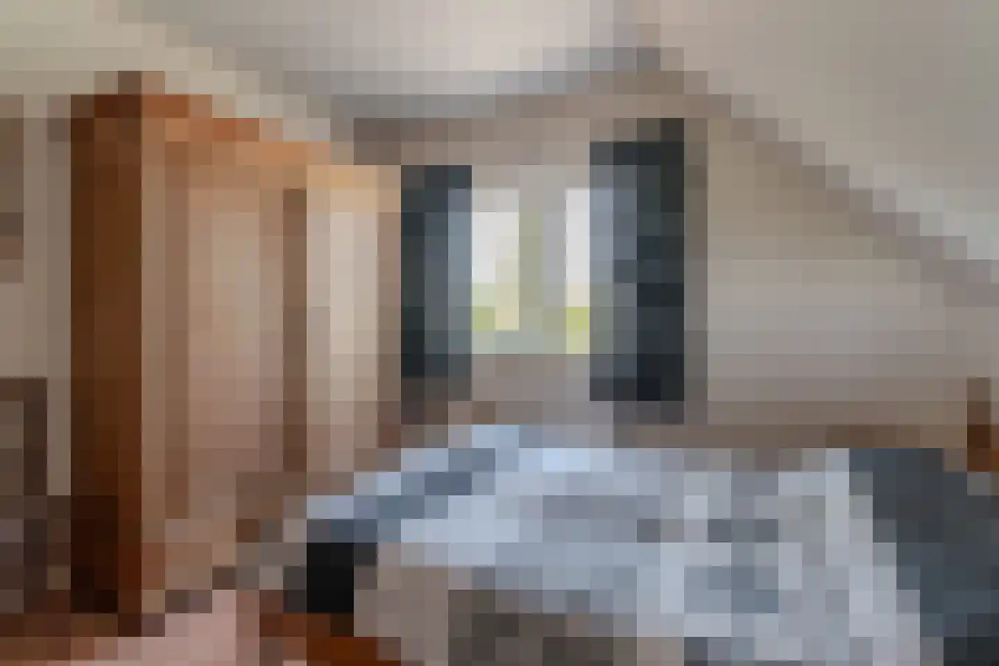 Groenestraat 42 Lathum thumbnail 48