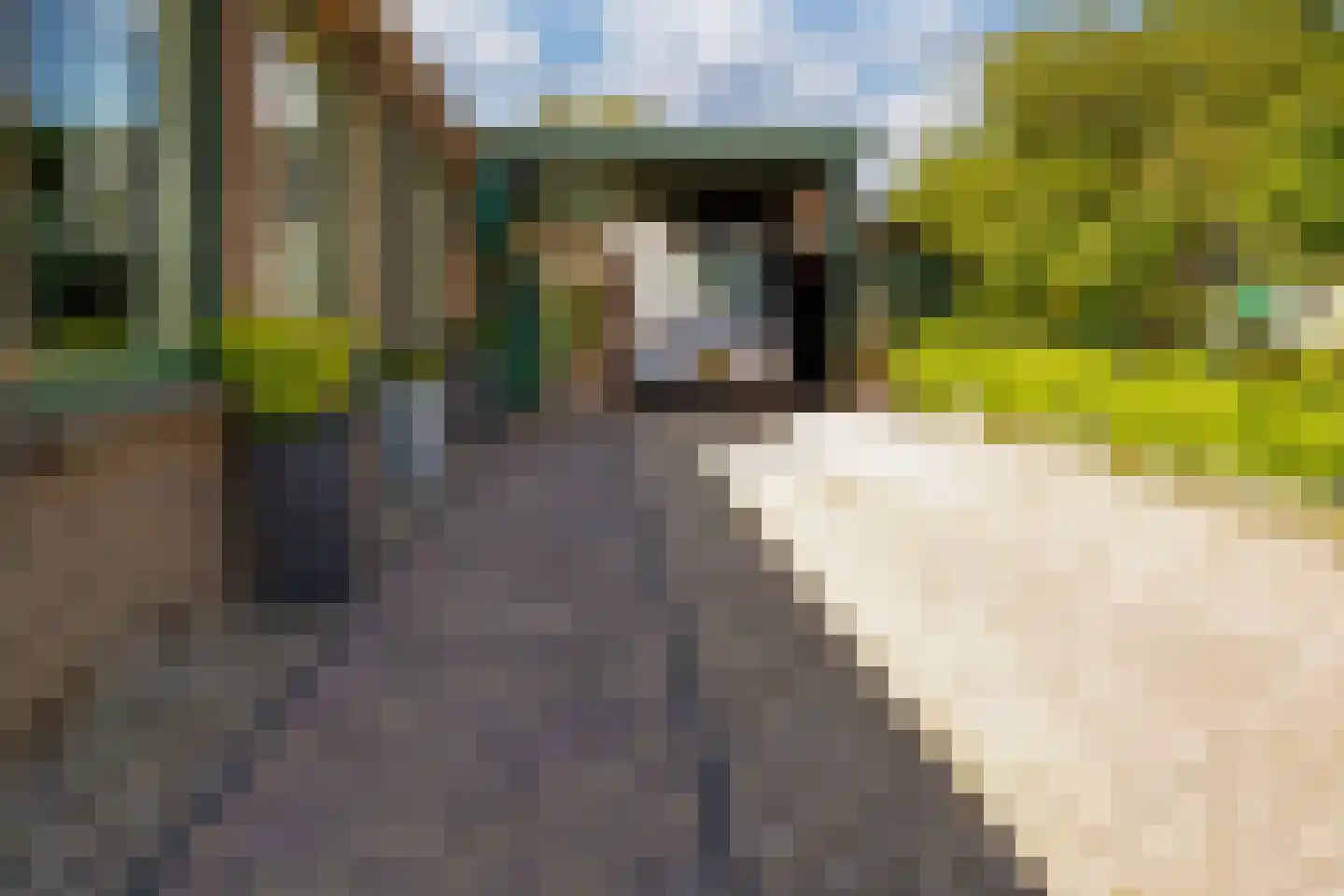 Groenestraat 42 Lathum thumbnail 7