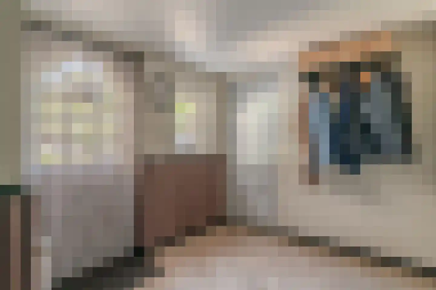 Groenestraat 42 Lathum thumbnail 8
