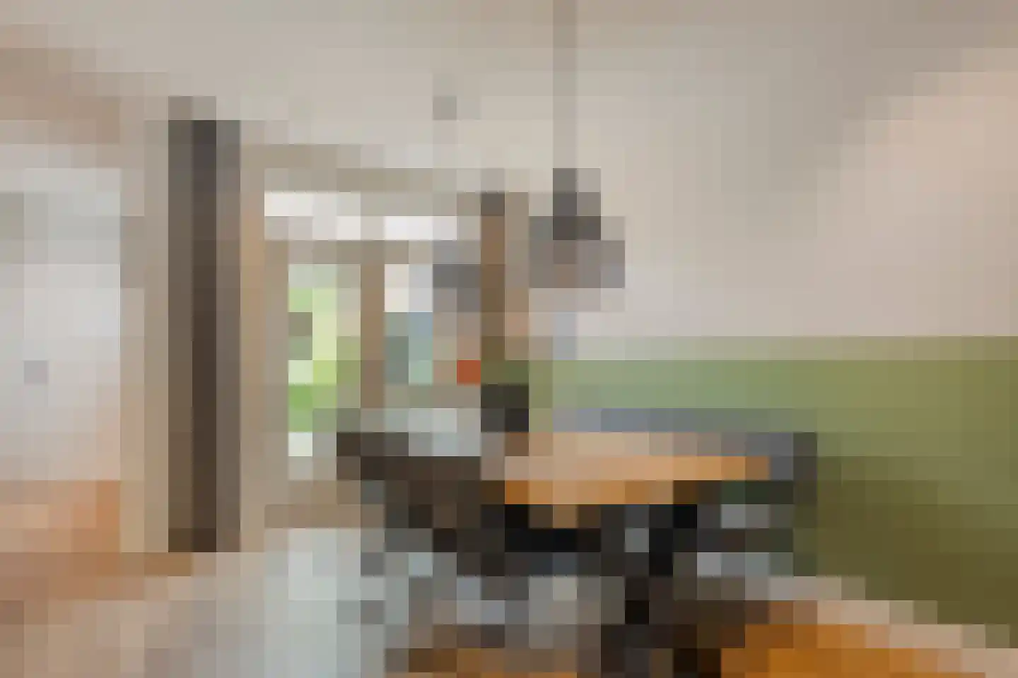 Groenestraat 42 Zwolle thumbnail 12