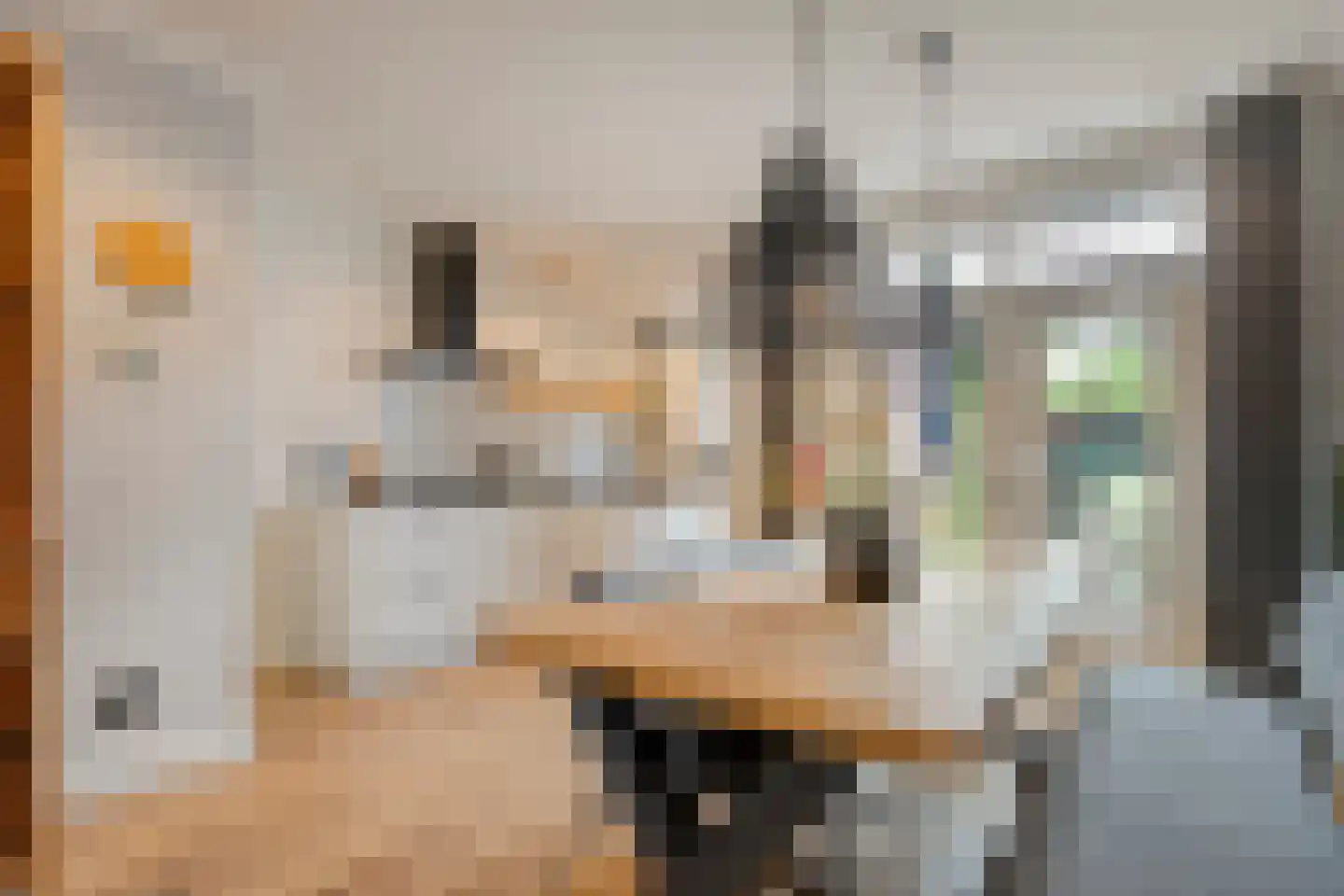 Groenestraat 42 Zwolle thumbnail 13