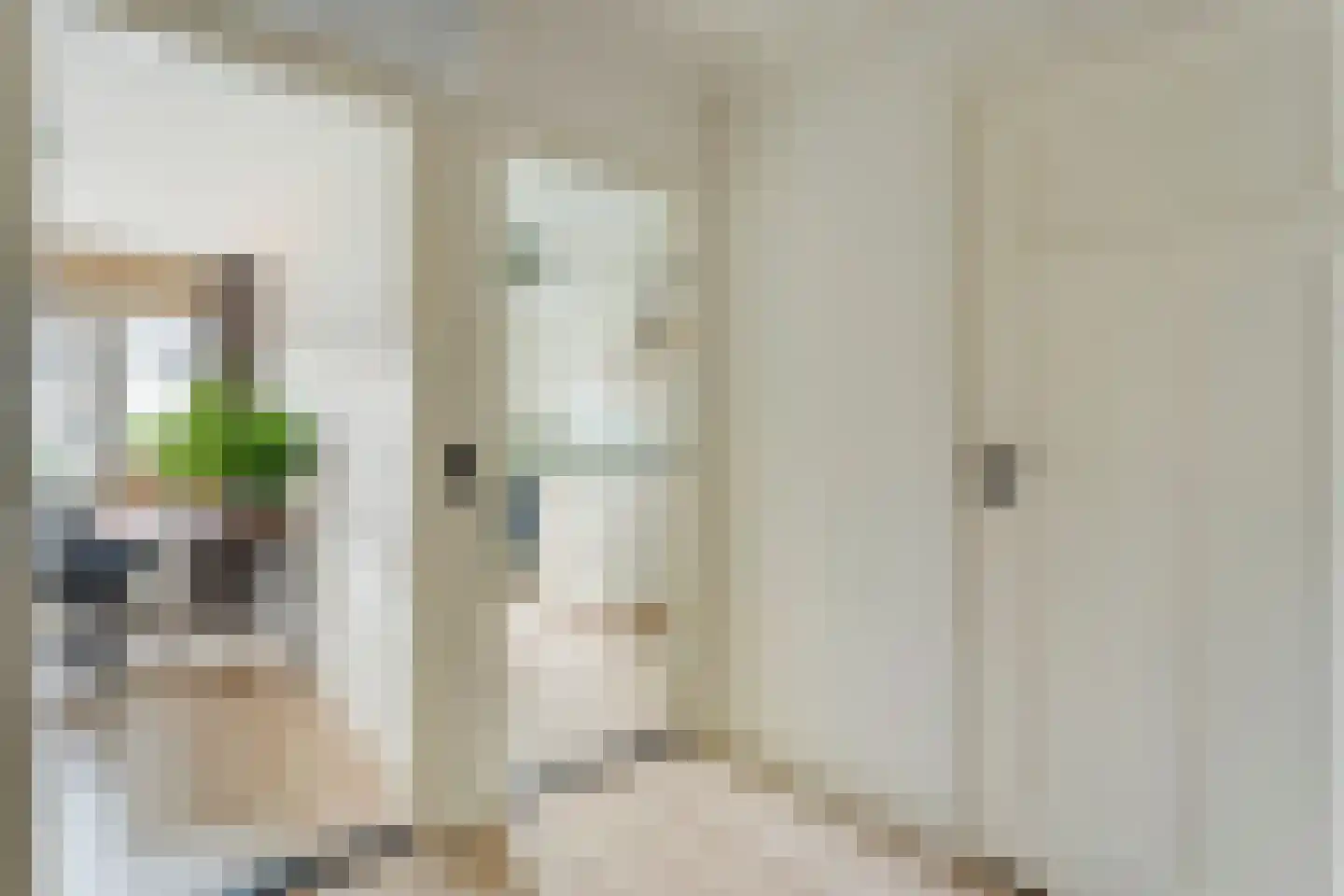 Groenestraat 42 Zwolle thumbnail 20