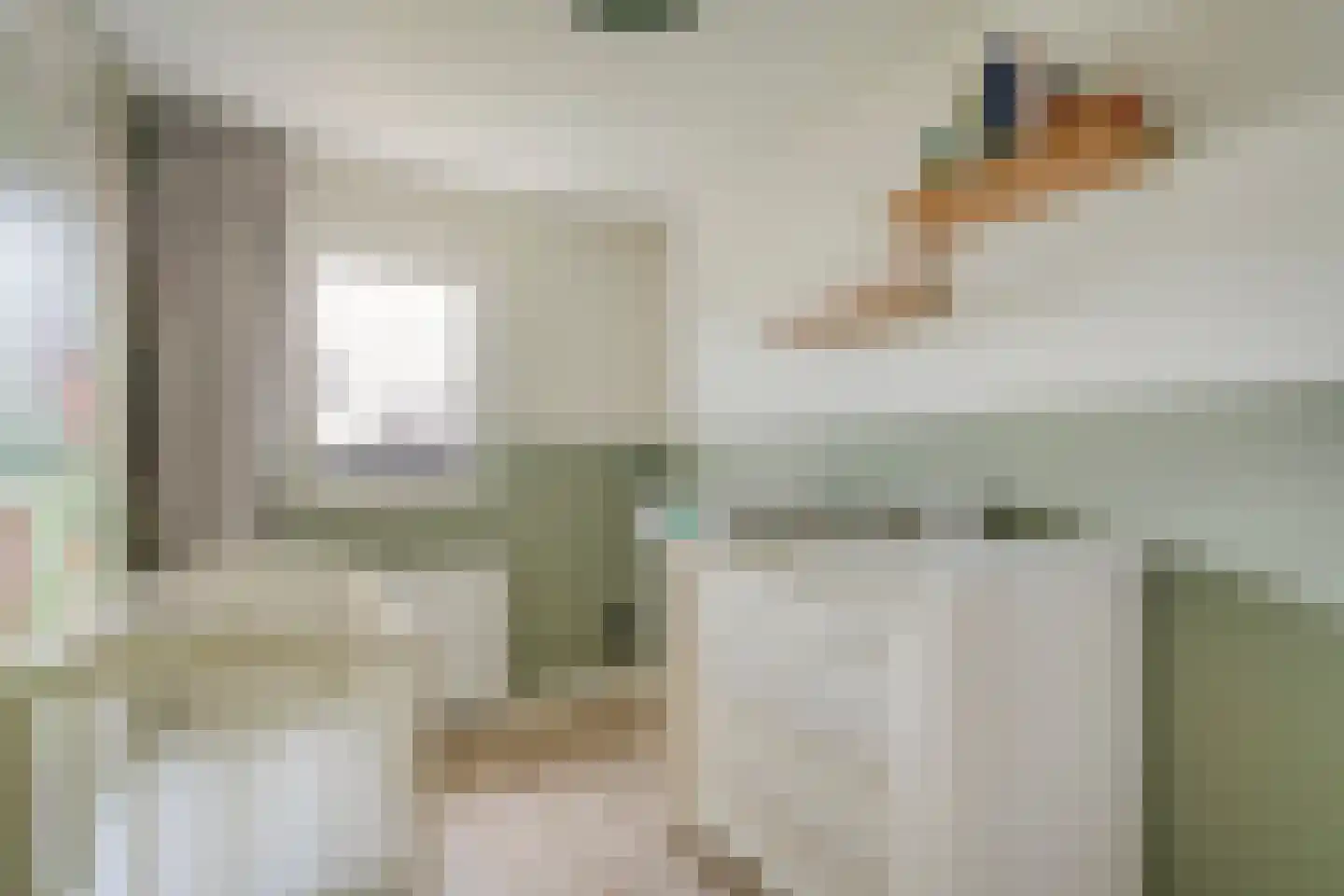 Groenestraat 42 Zwolle thumbnail 23