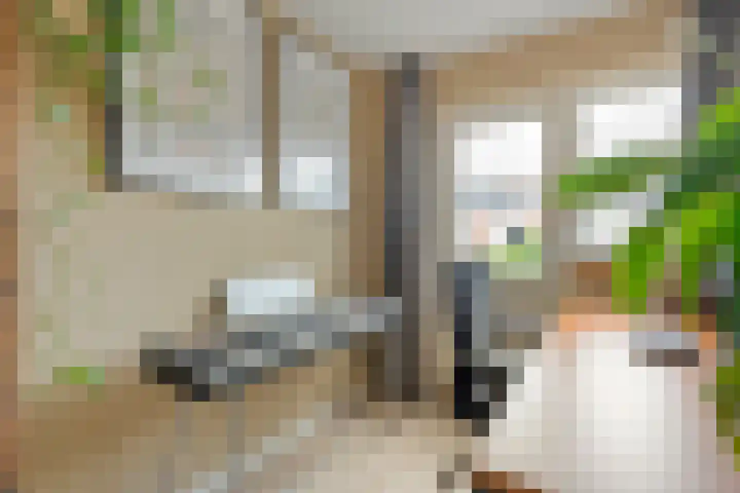 Groenestraat 42 Zwolle thumbnail 25