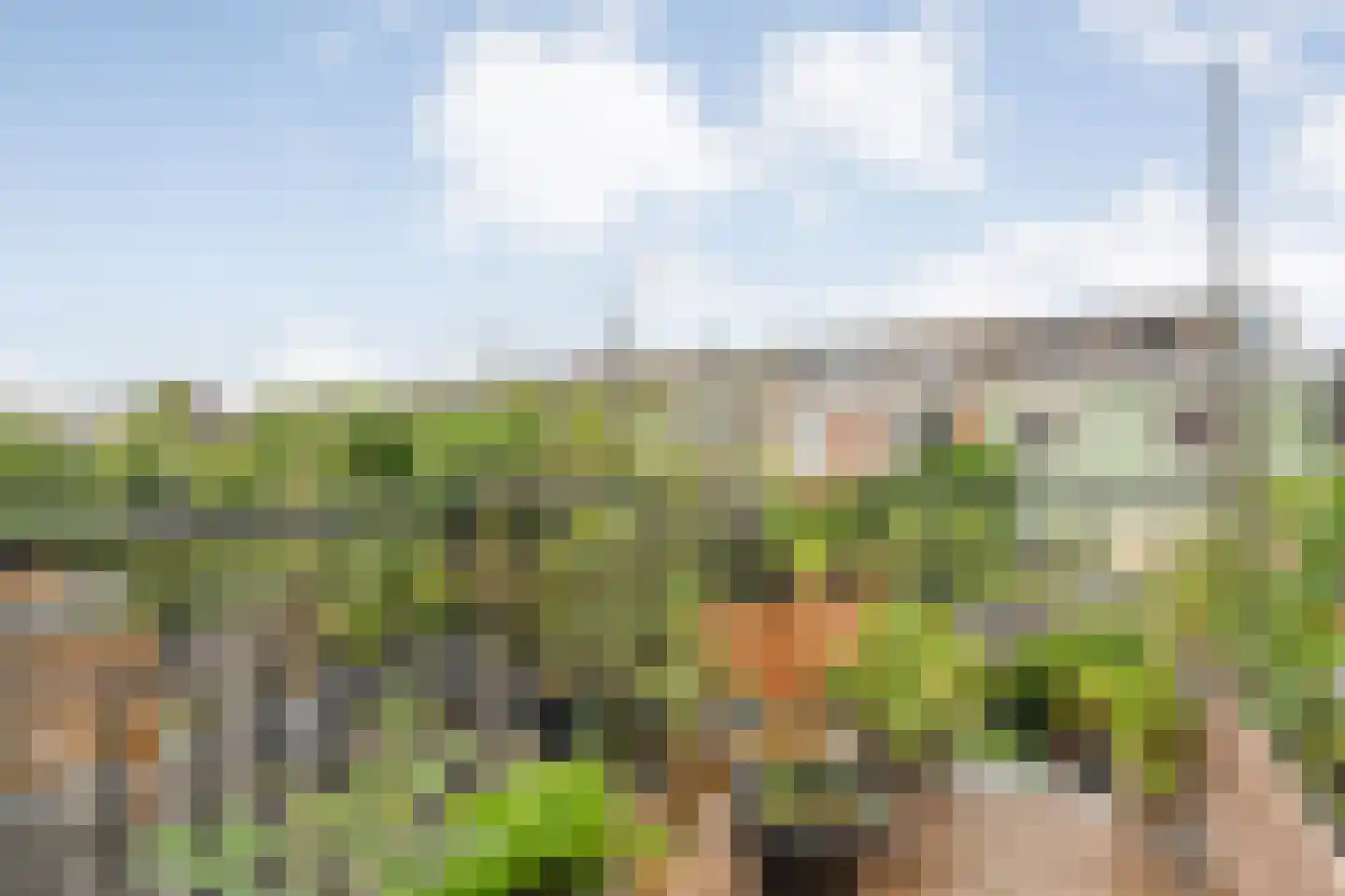 Groenestraat 42 Zwolle thumbnail 27