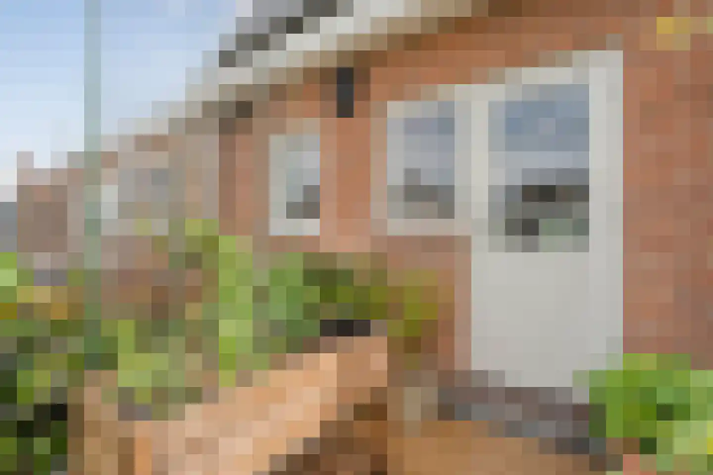 Groenestraat 42 Zwolle thumbnail 28