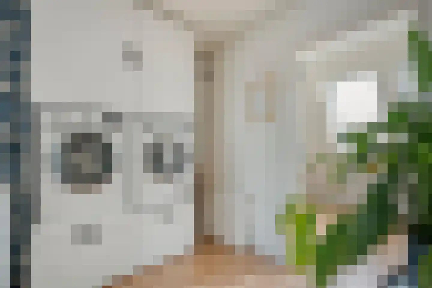 Groenestraat 42 Zwolle thumbnail 30