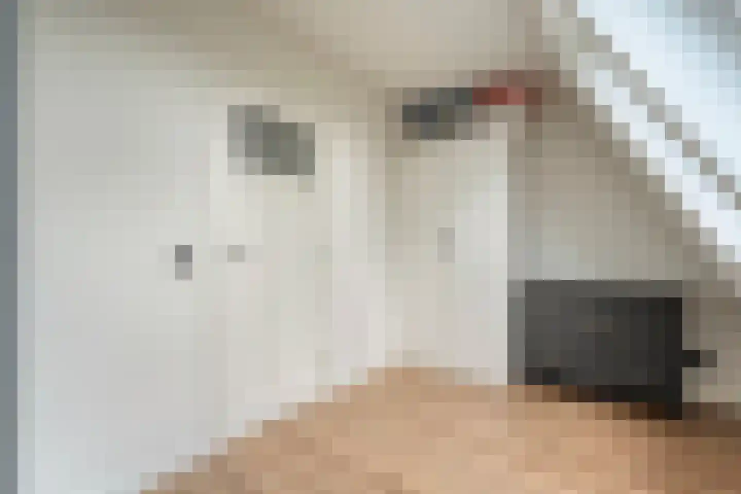 Groenestraat 42 Zwolle thumbnail 33