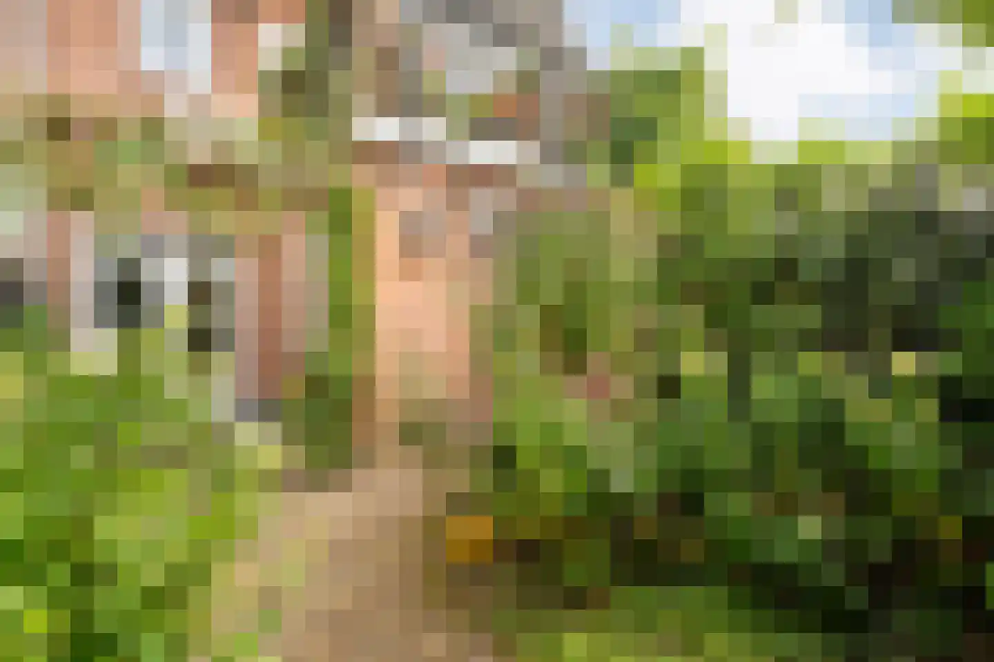 Groenestraat 42 Zwolle thumbnail 39