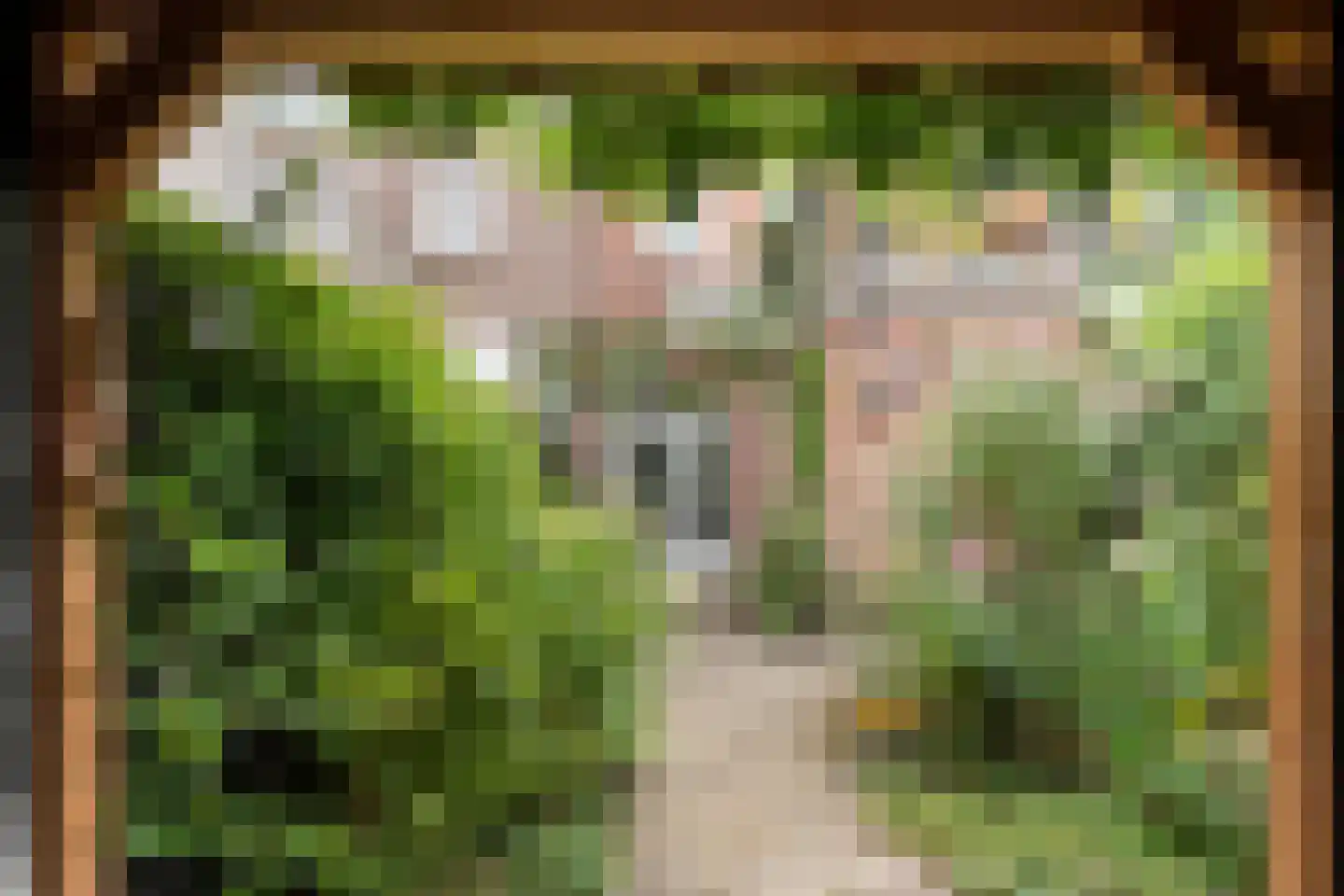 Groenestraat 42 Zwolle thumbnail 42