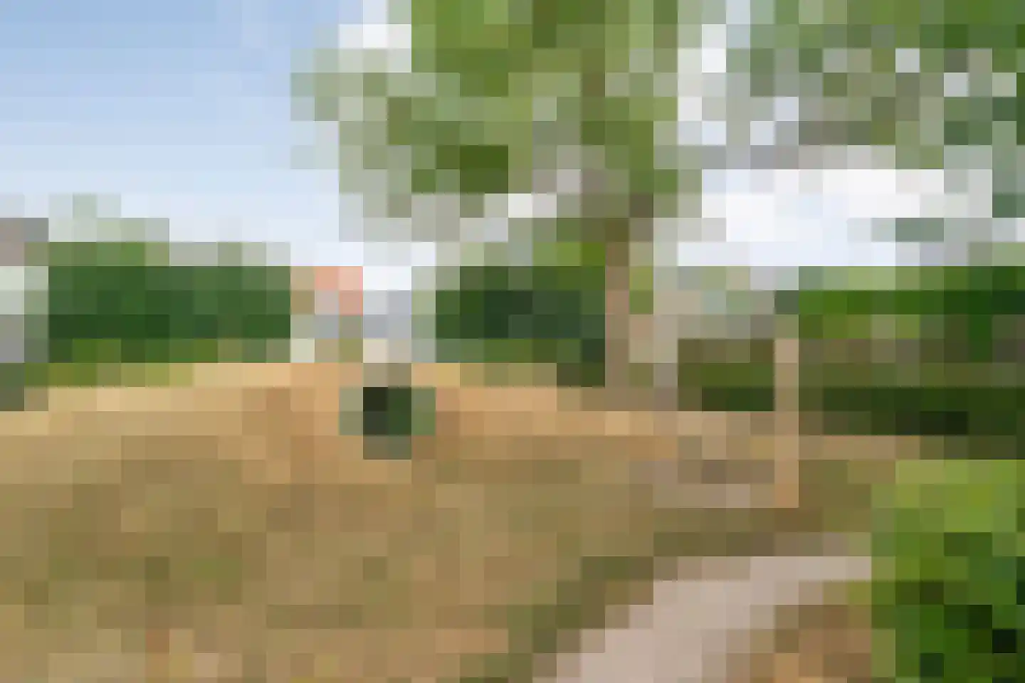Groenestraat 42 Zwolle thumbnail 44