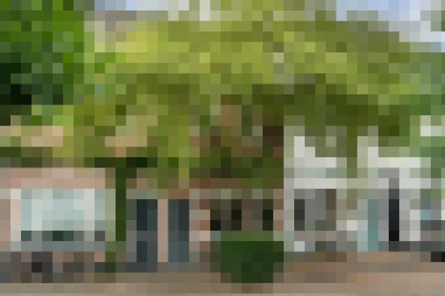 Groenestraat 42 Zwolle thumbnail 45