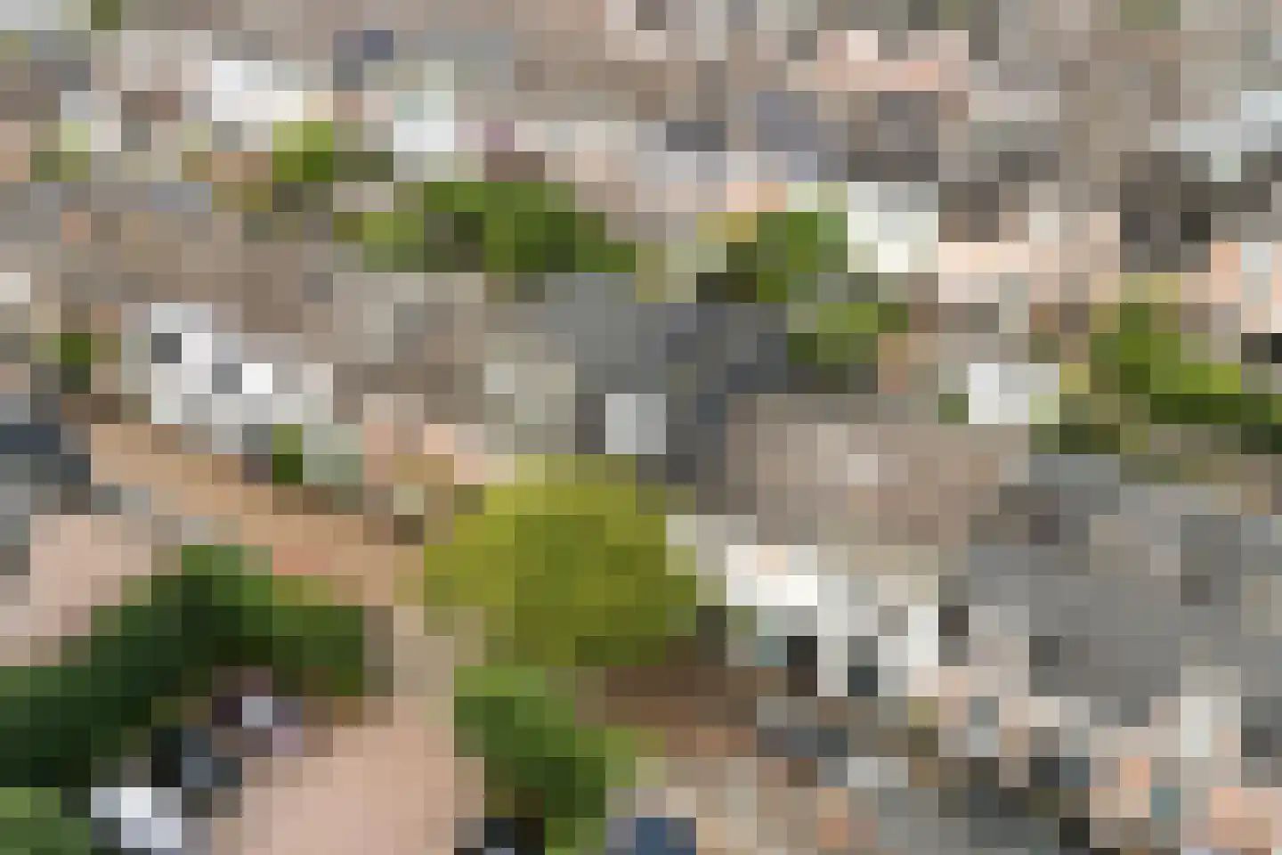 Groenestraat 42 Zwolle thumbnail 47