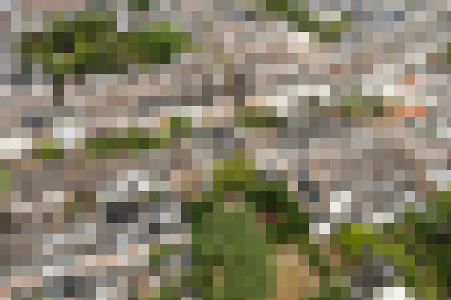 Groenestraat 42 Zwolle thumbnail 48