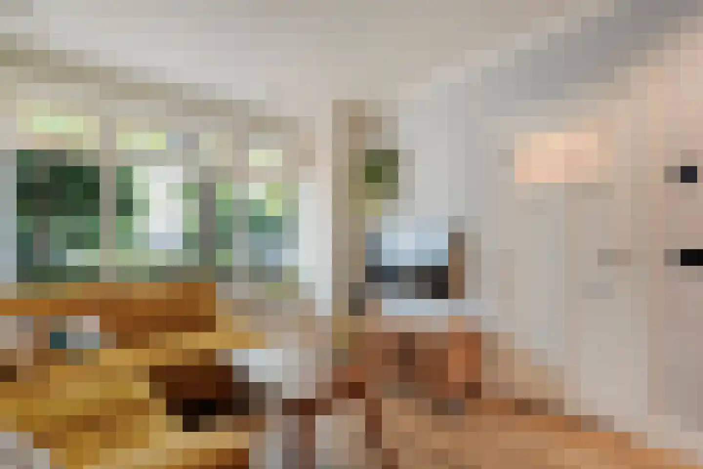 Groenestraat 42 Zwolle thumbnail 7