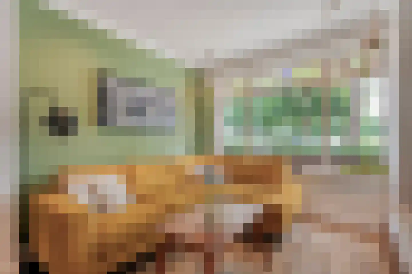 Groenestraat 42 Zwolle thumbnail 8