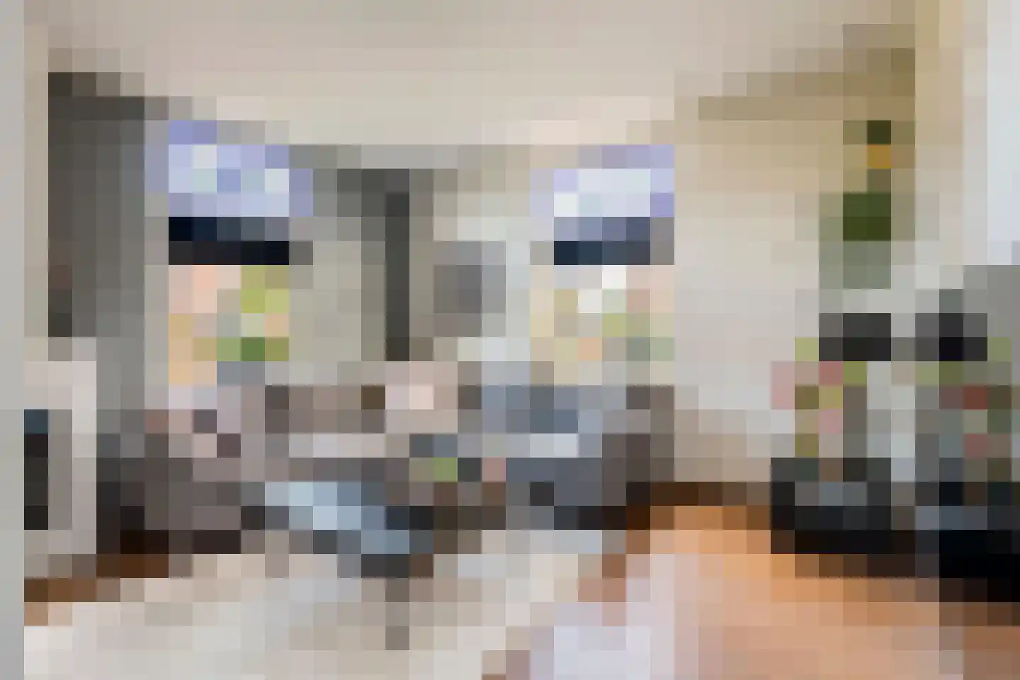 Groenestraat 45 Lienden thumbnail 10