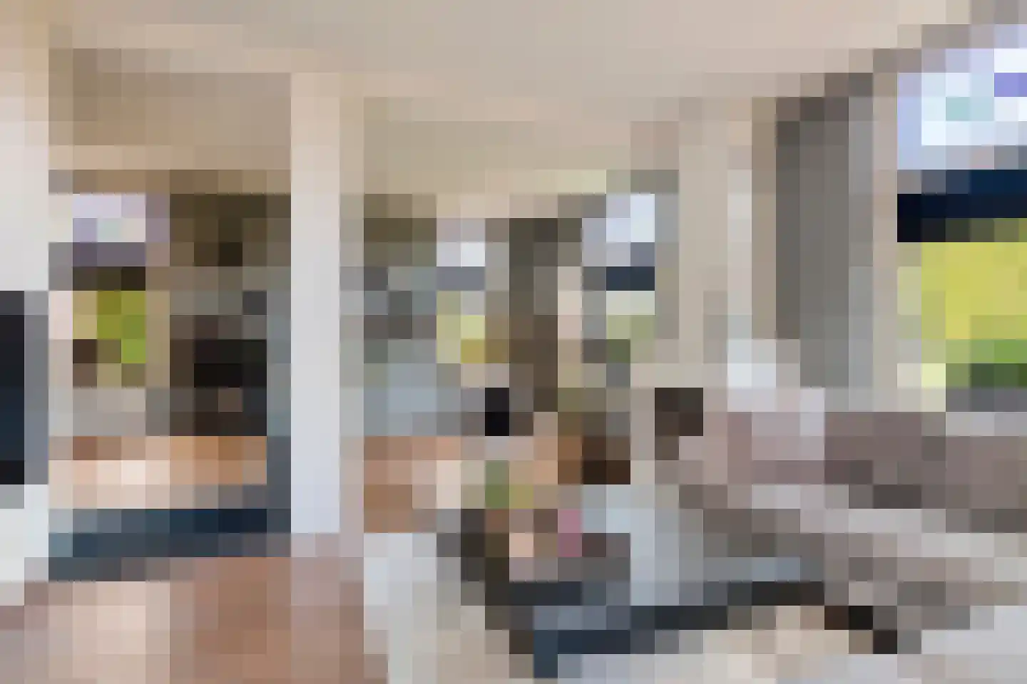 Groenestraat 45 Lienden thumbnail 11