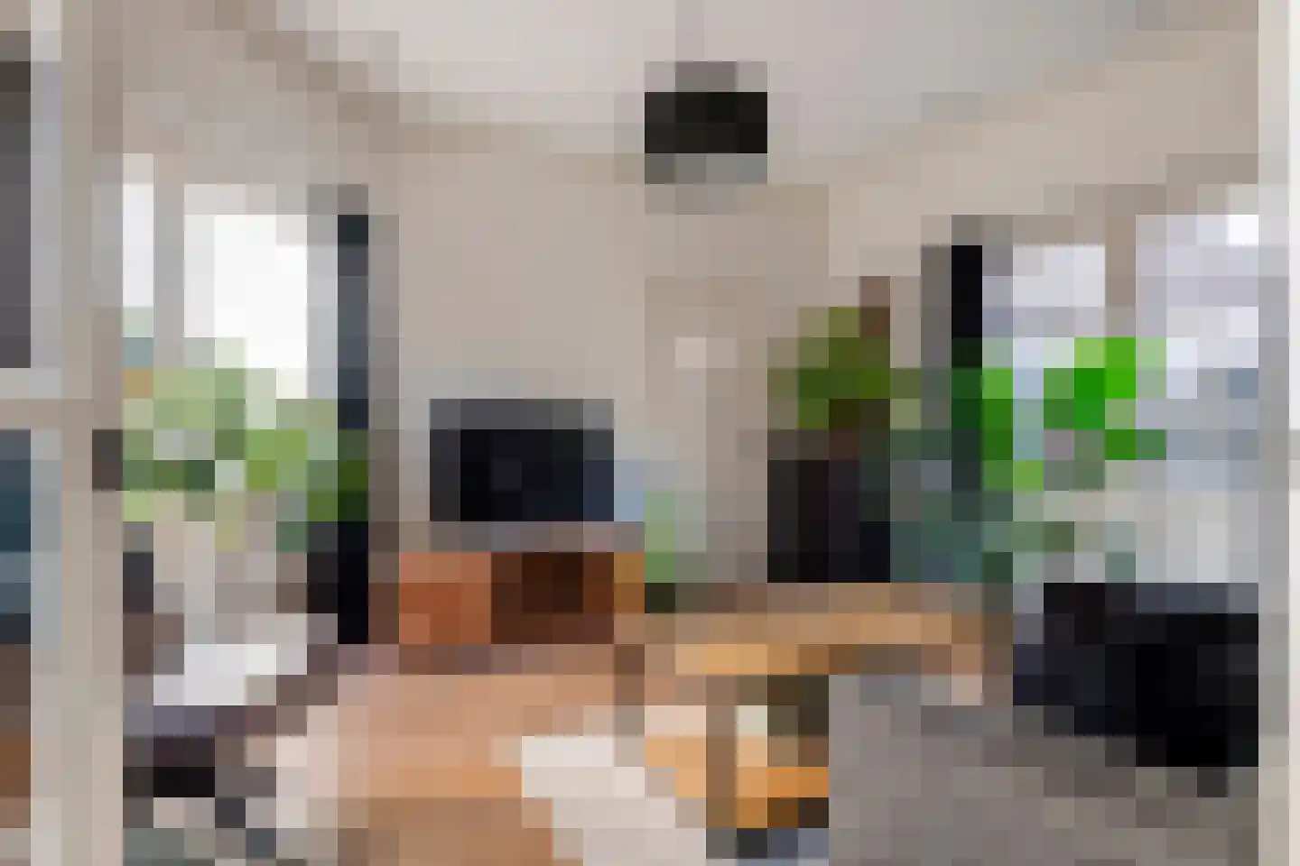 Groenestraat 45 Lienden thumbnail 27