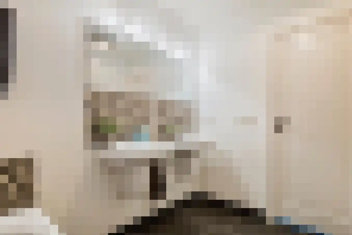 Groenestraat 45 Lienden thumbnail 31