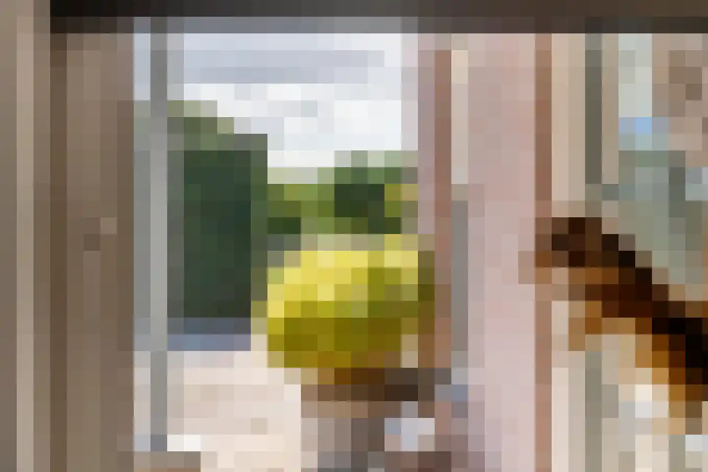 Groenestraat 45 Lienden thumbnail 33