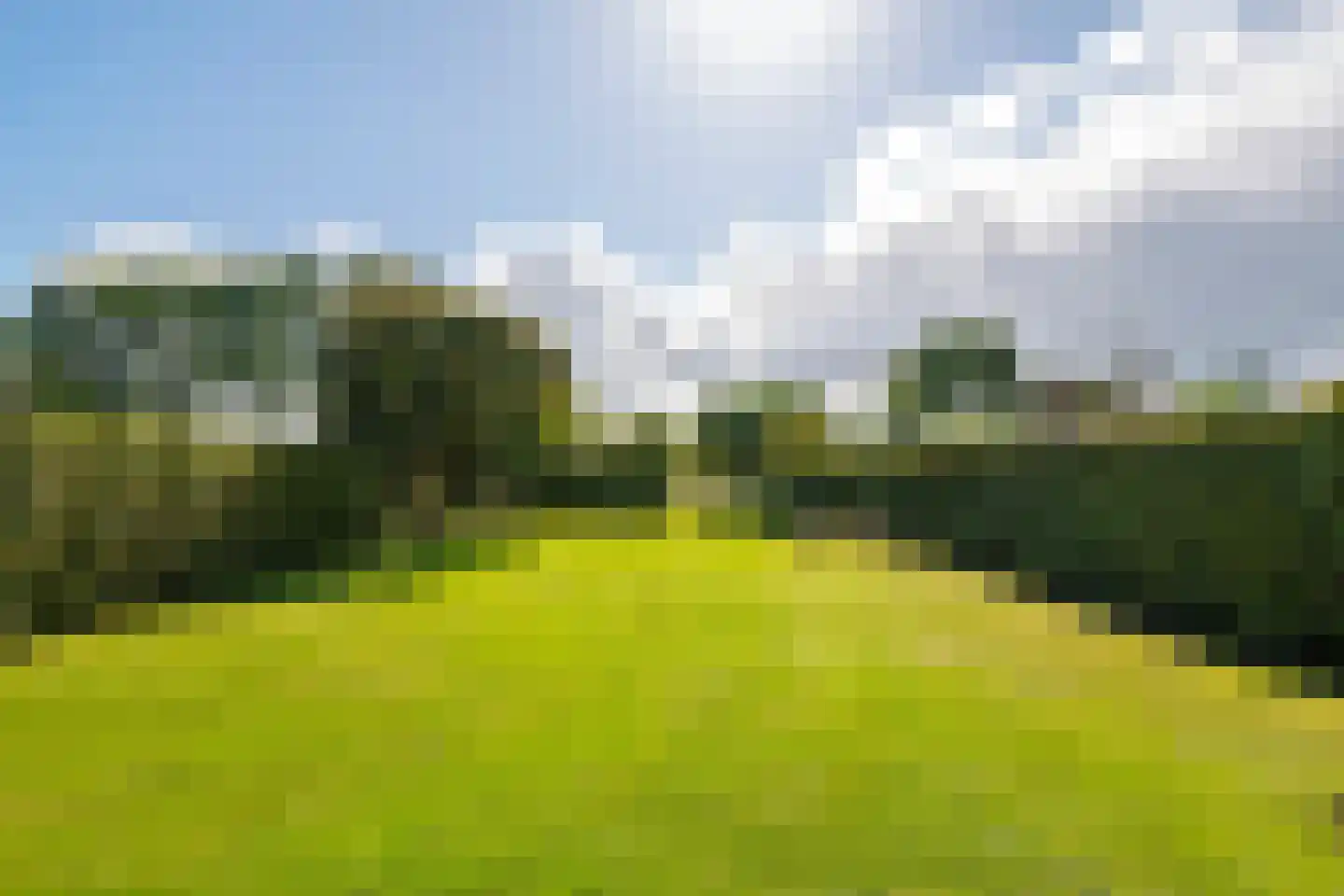 Groenestraat 45 Lienden thumbnail 35