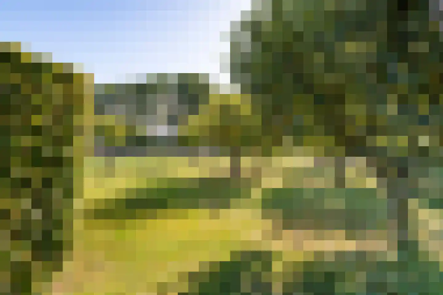 Groenestraat 45 Lienden thumbnail 40