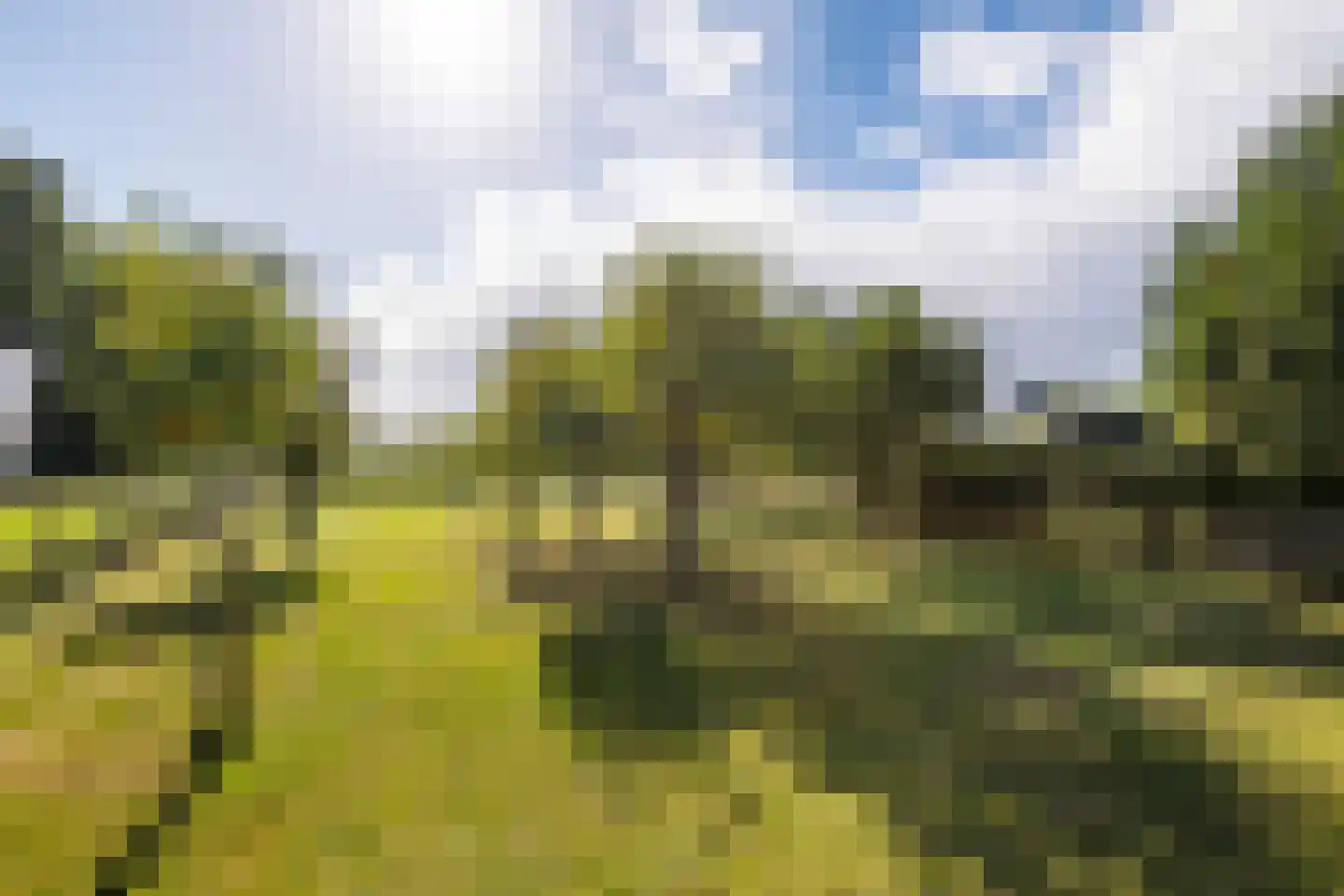 Groenestraat 45 Lienden thumbnail 41