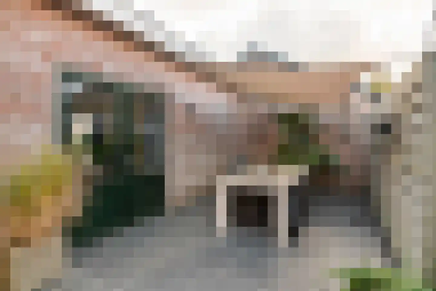 Groenestraat 45 Lienden thumbnail 45